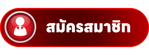 NETX55 ความบันเทิงออนไลน์ระดับพรีเมียม ครบในที่เดียว ระบบออโต้เสถียรทันใจ